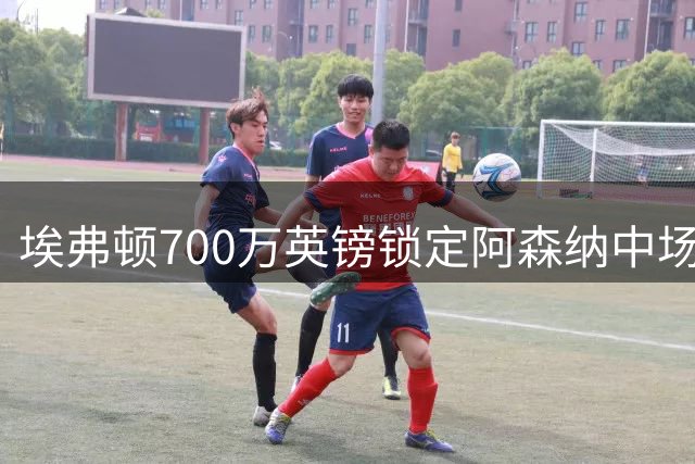 埃弗顿700万英镑锁定阿森纳中场，32岁老将或成莫耶斯中场新核